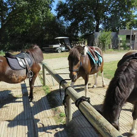 Les P'tites Maisons Dans La Prairie Hébergement de vacances *