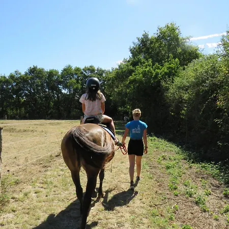 Les P'tites Maisons Dans La Prairie * Sallertaine