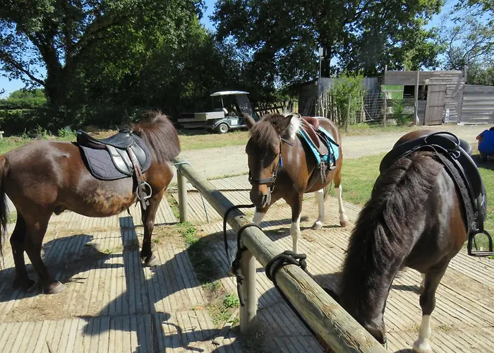 Les P'tites Maisons Dans La Prairie Casa de Férias *