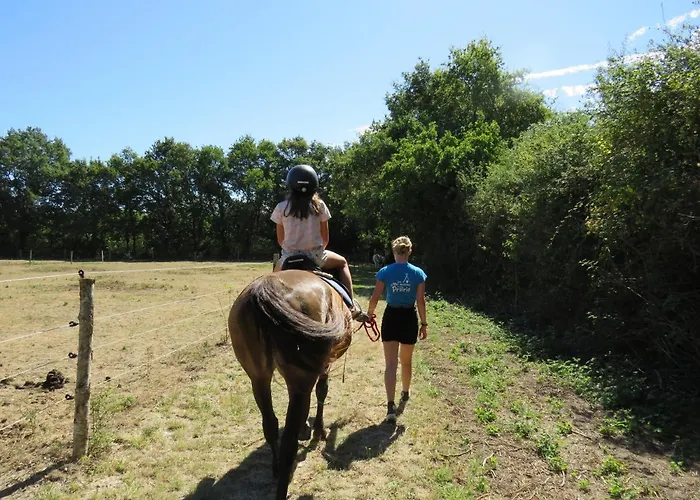 Les P'tites Maisons Dans La Prairie * Sallertaine